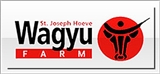 Wagyu hamburger Aanbieding week 35t/m38