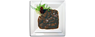 MEAT our Chef assortiment