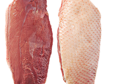 Filet de caneton 2 stuks 